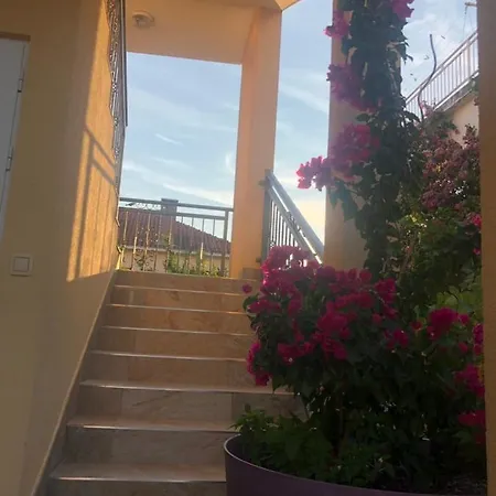 I.k. Apartment Orebic